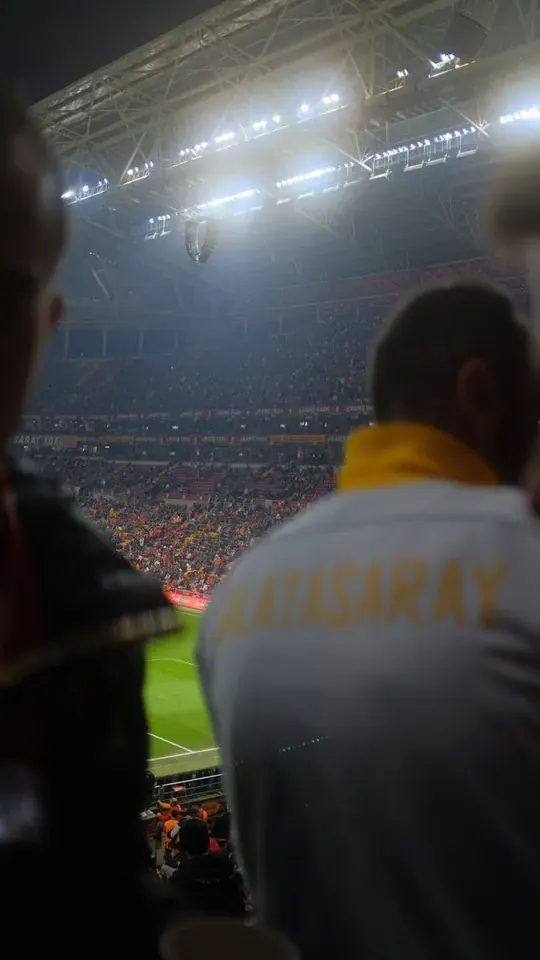 Stadium of Light: Architecture and Facts